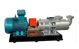 2GaRT-系列高溫粘膠輸送泵產品圖4