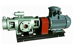 2GbS-系列雙螺桿泵產品圖4